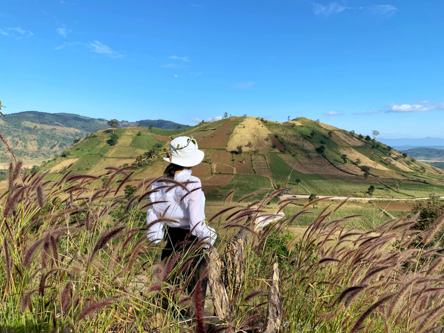 Núi lửa Chư Đang Ya (huyện Chư Păh) nhìn từ sườn núi Chư Nâm. Mỗi mùa ngọn núi lại có một vẻ đẹp riêng. Ảnh: Hoàng Ngọc Núi lửa Chư Đang Ya nhìn từ sườn núi Chư Nâm. Mỗi mùa ngọn núi lại có một vẻ đẹp riêng. jpg