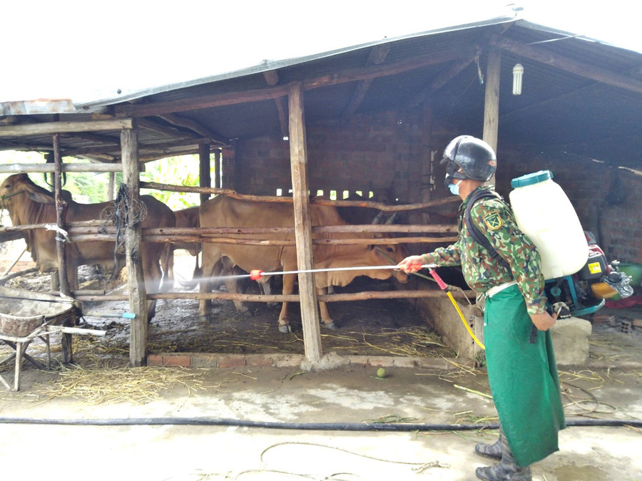  Phun hóa chất khử trùng khu vực nuôi nhốt của người dân thôn Tân Định (xã Tân An, huyện Đak Pơ). Ảnh: Ngọc Minh