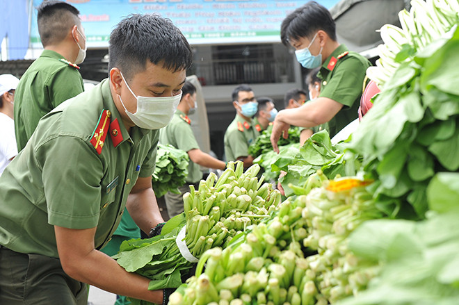 Cán bộ, chiến sĩ Công an gói cẩn thận từng bó rau trước khi vận chuyển lên xe gửi về TP. Hồ Chí Minh. Cán bộ, chiến sĩ Công an gói cẩn thận từng bó rau trước khi vận chuyển lên xe gửi về TP. Hồ Chí Minh.