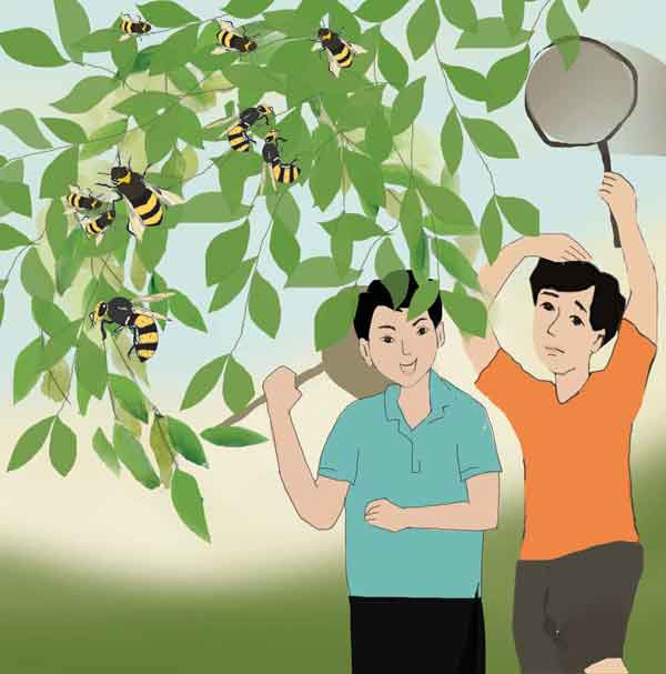 Minh họa: Huyền Trang Minh họa: Huyền Trang