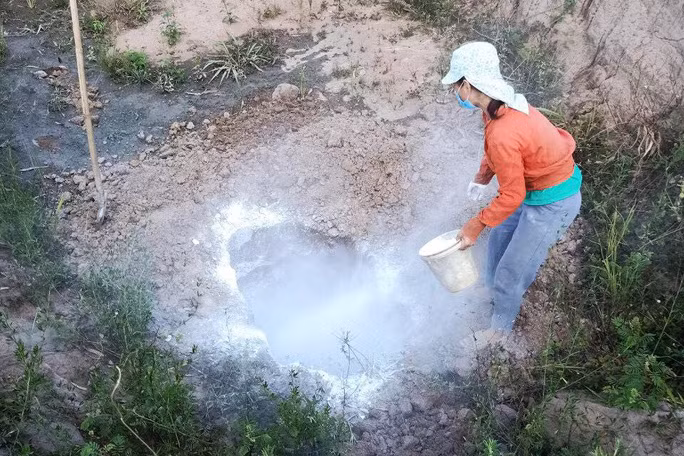 Dịch bệnh trên đàn gia súc khiến người chăn nuôi gặp khó khăn