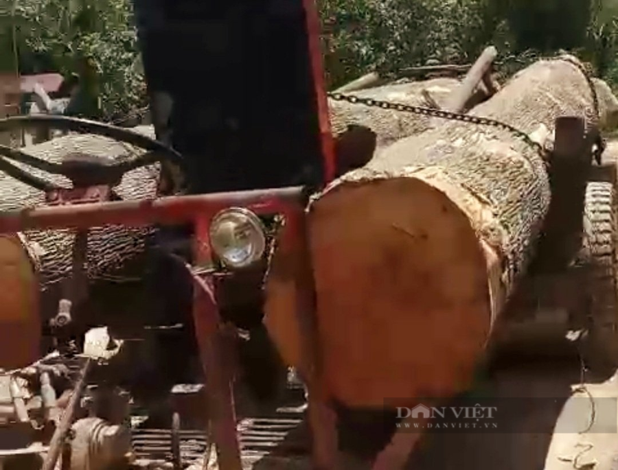 Gỗ tang vật cùng phương tiện bị 40 người cầm hung khí cướp. Ảnh: N.G