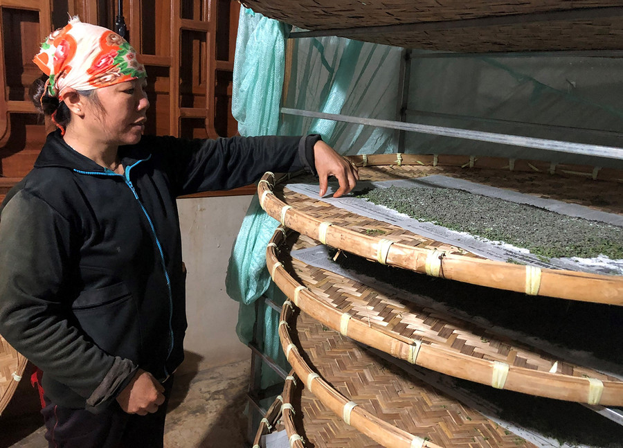 Bà Nguyễn Thị Sen (làng O Pếch, xã Ia Pếch) kiểm tra những con tằm giống. Ảnh: Anh Huy