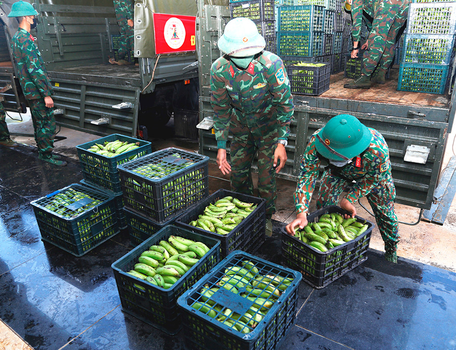 Sản phẩm tăng gia của Quân đoàn được gửi vào TP. Hồ Chí Minh. Ảnh: Vĩnh Hoàng