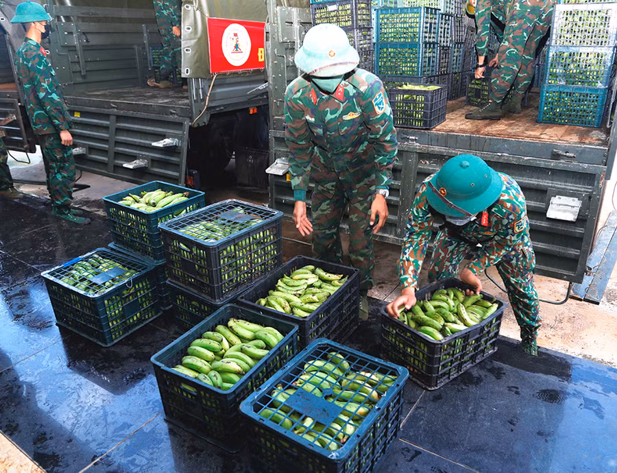 Sản phẩm tăng gia của Quân đoàn được gửi vào TP. Hồ Chí Minh. Ảnh: Vĩnh Hoàng