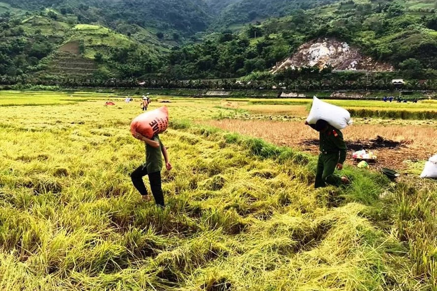  Cần linh hoạt các giải pháp để lưu thông điểm nghẽn gây ách tắc trong xuất khẩu gạo. Ảnh: Nguyễn Anh Tuấn