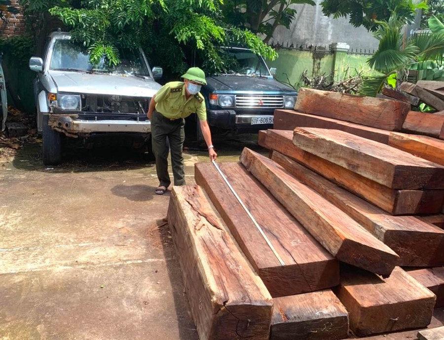 Hạt Kiểm huyện Kông Chro thu giữ tang vật vi phạm lâm luật. Ảnh Ngọc Minh