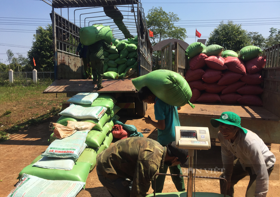 Những năm qua nhiều nông dân đã có thêm thu nhập nhờ việc liên kết sản xuất. (Trong ảnh: Nông dân xã Ea Tân, huyện Krông Năng, Đắk Lắk đang bán cà phê cho công ty liên kết). Ảnh: Duy Hậu.