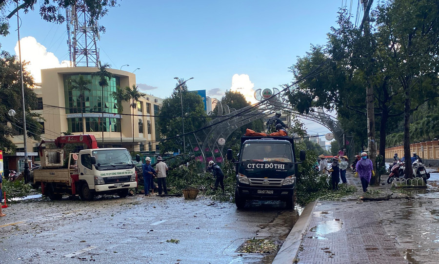 Công ty cổ phần Công trình Đô thị Gia Lai đã tới hiện trường xử lý cây xanh bị ngã đổ. Ảnh: Duy Lê Công ty cổ phần Công trình Đô thị Gia Lai đã tới hiện trường xử lý cây xanh bị ngã đổ. Ảnh: Duy Lê