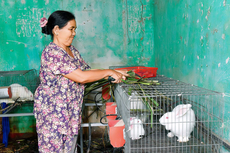 Bà Đinh Thị Her (thôn 2, xã Ayun) cho biết: Sau khi tham gia tập huấn kỹ thuật chăn nuôi, bà mạnh dạn chuyển từ nuôi gà sang nuôi thỏ. Bà nuôi 20 cặp thỏ cái sinh sản, trung bình mỗi năm, 1 con thỏ mẹ đẻ 5-6 lứa. Sau 3 tháng, trọng lượng thỏ đạt 2,5-3kg/con là có thể xuất bán, đem lại nguồn thu ổn định cho gia đình.