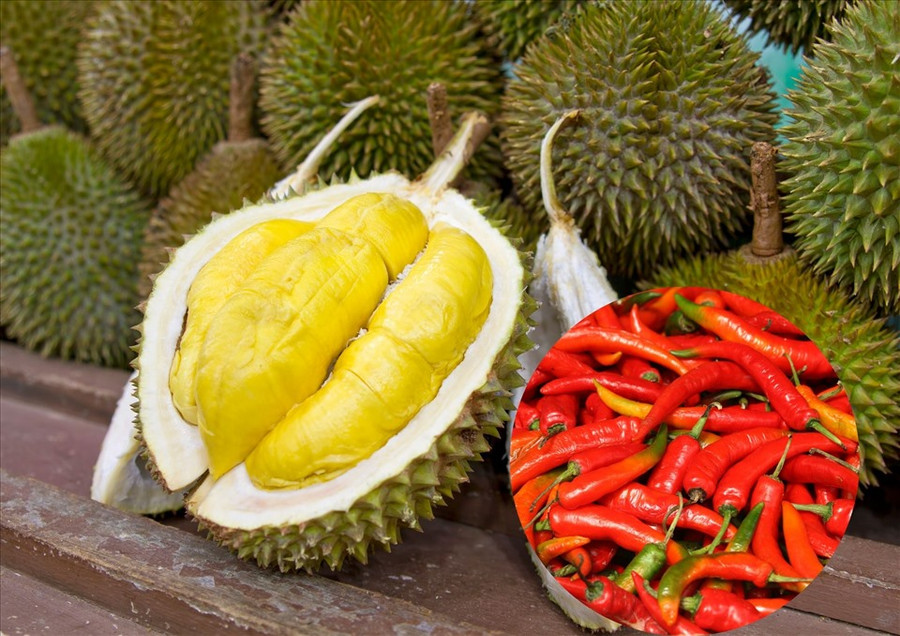 Không nên ăn sầu riêng cùng những đồ cay, nóng như ớt. Ảnh đồ họa: Hải Ngọc