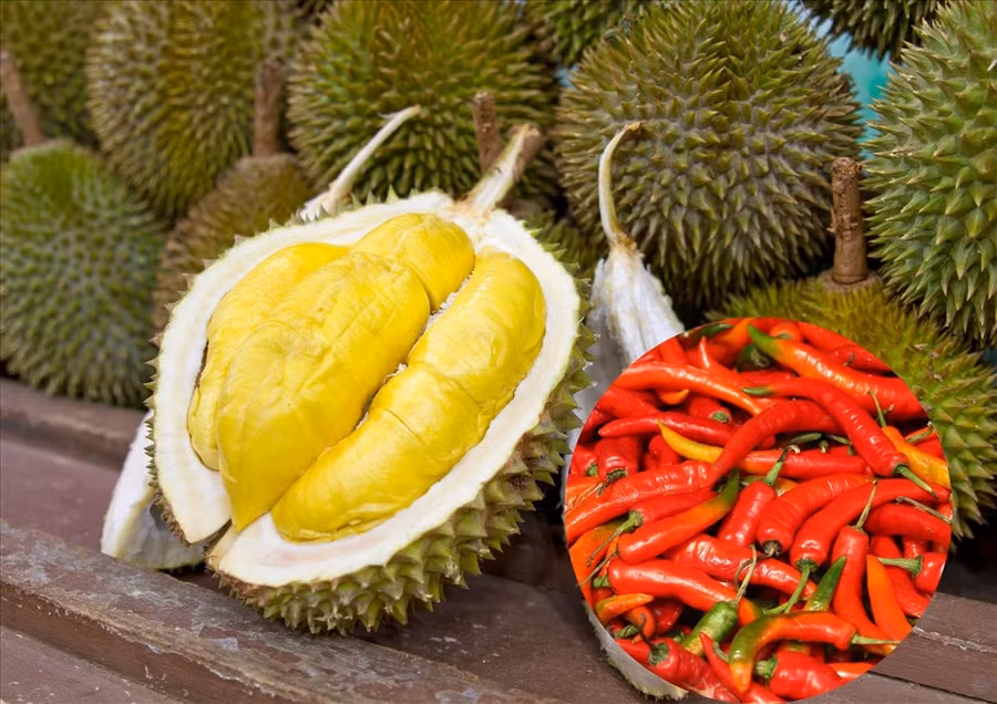 Không nên ăn sầu riêng cùng những đồ cay, nóng như ớt. Ảnh đồ họa: Hải Ngọc