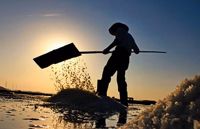 Khi ánh bình minh vừa ló dạng, diêm dân đã ra đồng.