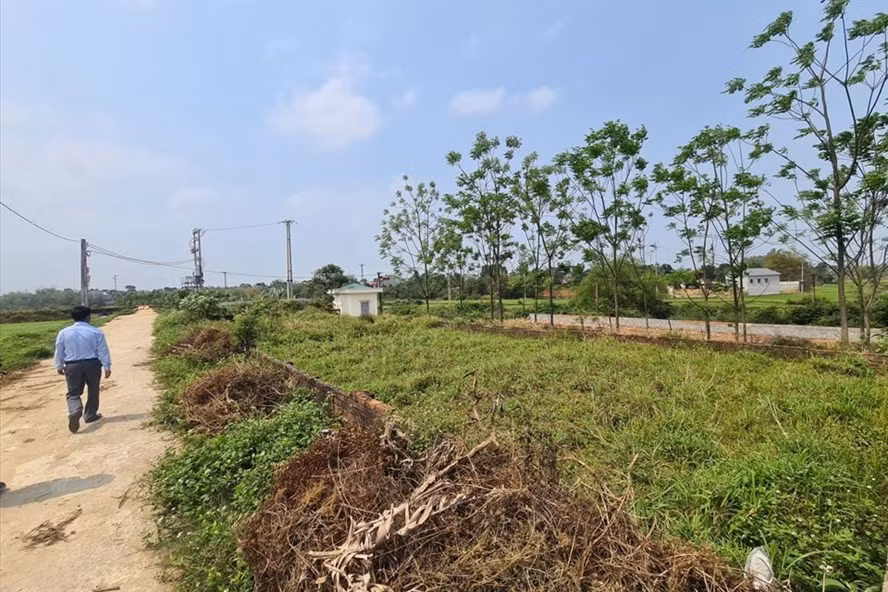 Vì lợi nhuận nhiều môi giới bất động sản thổi giá lên cao để ăn tiền chênh. Những người mua đất đầu tư hoặc để sử dụng thật phải cẩn thận kẻo bị hớ. Ảnh: Cao Nguyên.