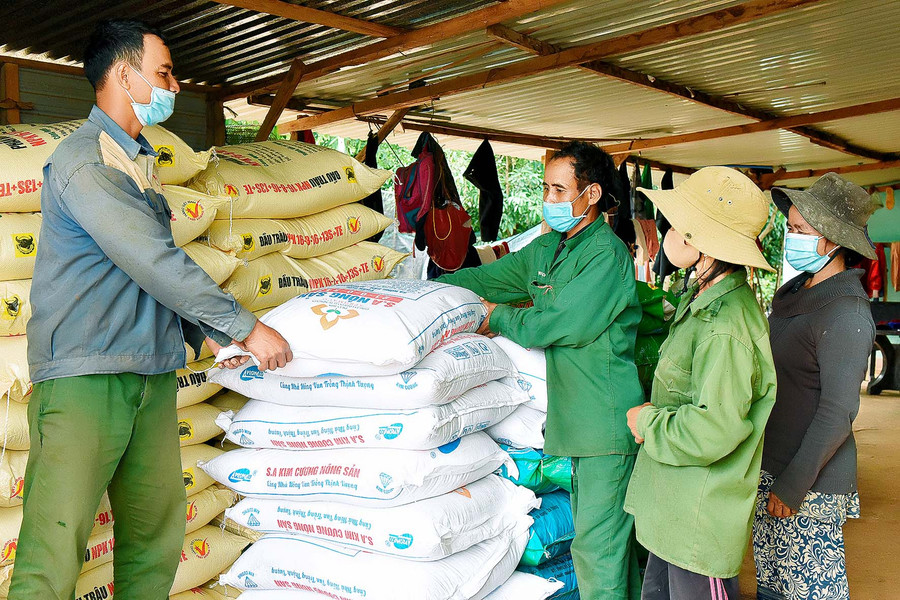 Từ nguồn hỗ trợ vốn vay cho hộ nghèo, anh Nhim (làng Đak Trôk, xã Đak Yă) đã mua, chăm sóc 6 con bò giống sinh sản, 10 con dê, 2 ha cà phê, 4 sào lúa nước… Đến nay, gia đình anh đã thoát nghèo. Anh còn tín chấp với công ty nhận phân bón để phân phối lại cho bà con dân làng.