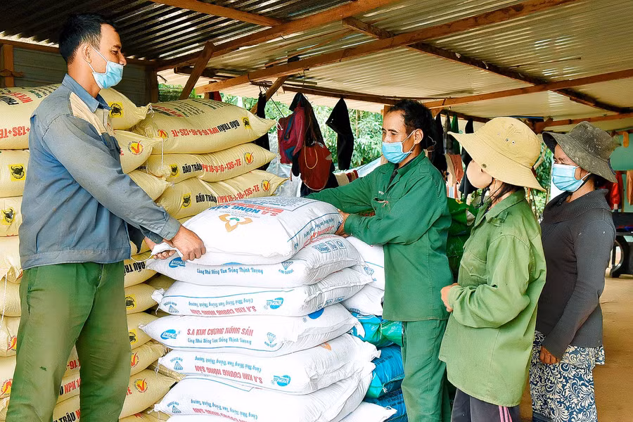 Từ nguồn hỗ trợ vốn vay cho hộ nghèo, anh Nhim (làng Đak Trôk, xã Đak Yă) đã mua, chăm sóc 6 con bò giống sinh sản, 10 con dê, 2 ha cà phê, 4 sào lúa nước… Đến nay, gia đình anh đã thoát nghèo. Anh còn tín chấp với công ty nhận phân bón để phân phối lại cho bà con dân làng.