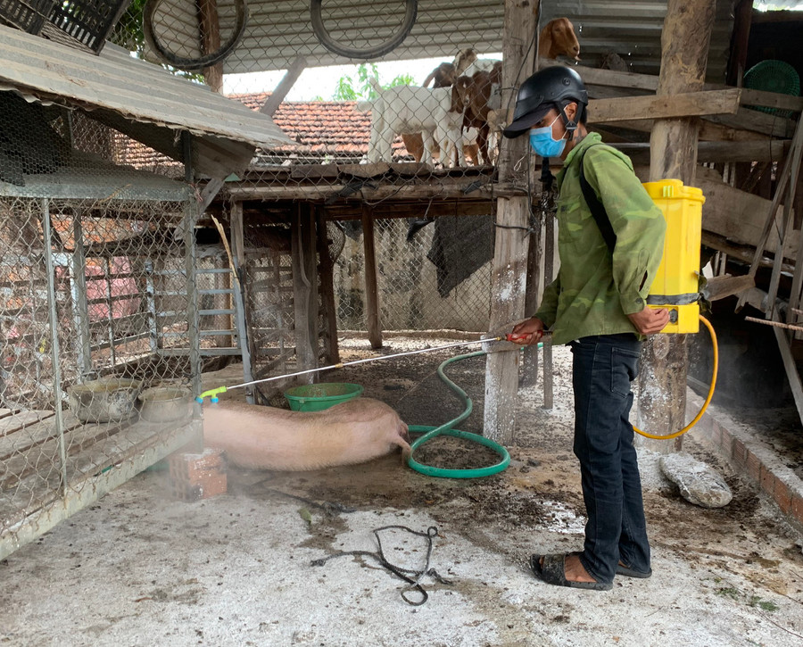Lực lượng chức năng phun hóa chất khử trùng tại các hộ gia đình có heo bị dịch tả châu Phi.Ảnh.Vũ Chi.