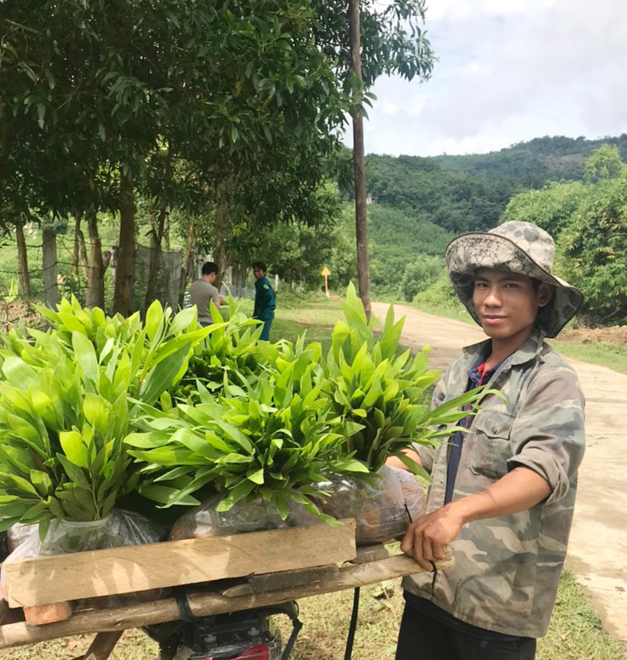 Công ty TNHH một thành viên lâm nghiêp Kông Chro cấp giống cho người dân trồng rừng. Ảnh: Nguyễn Diệp Công ty TNHH một thành viên Lâm nghiêp Kông Chro cấp giống cho người dân trồng rừng. Ảnh: Nguyễn Diệp
