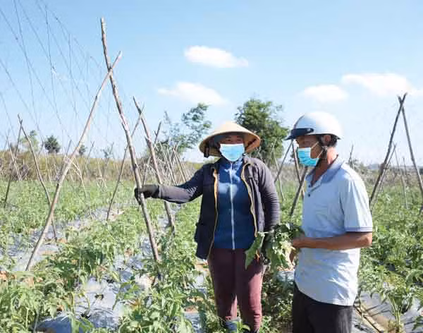 Chính quyền và các đoàn thể xã tích cực vận động người dân phát triển sản xuất, nâng cao thu nhập để hoàn thành tiêu chí còn lại. Ảnh: Minh Nguyễn