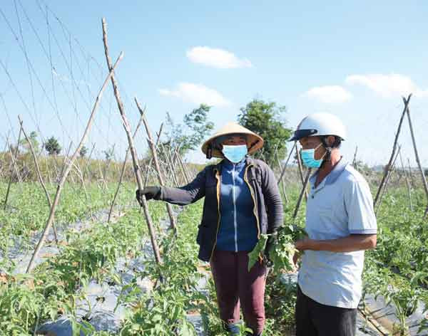 Chính quyền và các đoàn thể xã tích cực vận động người dân phát triển sản xuất, nâng cao thu nhập để hoàn thành tiêu chí còn lại. Ảnh: Minh Nguyễn