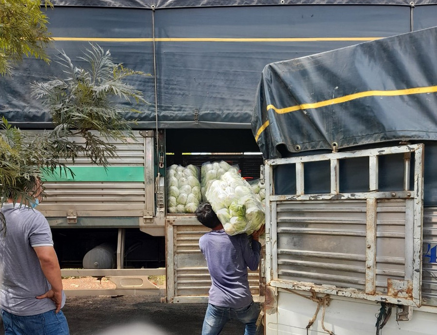 Chuyển bắp sú lên xe tải để đưa về TP.HCM hỗ trợ công tác phòng chống dịch Covid-19. Ảnh: Lâm Viên