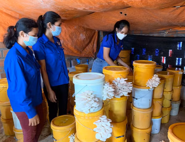 Đoàn viên, thanh niên tham quan, học hỏi mô hình trồng nấm tại gia đình chị Ksor H' Nhi (buôn Rưng Ma Nin, xã Ia Rbol, thị xã Ayun Pa).Ảnh.Vũ Chi