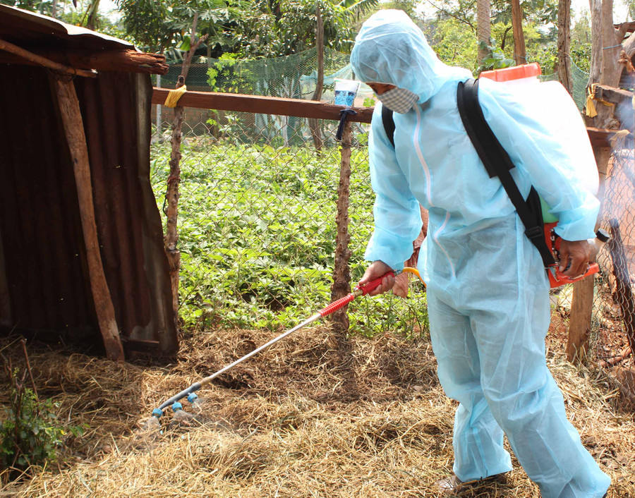 Tiêu độc khử trùng chuồng trại chăn nuôi