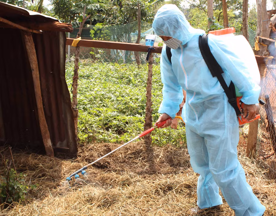 Tiêu độc khử trùng chuồng trại chăn nuôi