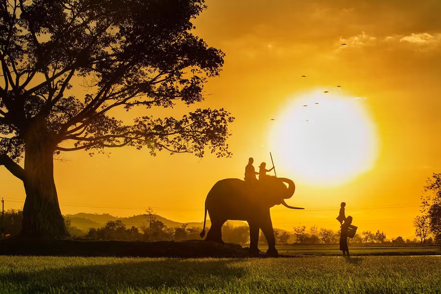 "Gia đình hạnh phúc"-một trong những tác phẩm ghi dấu ấn của tay máy trẻ Nguyễn Tấn Cần. "Gia đình hạnh phúc"-một trong những tác phẩm ghi dấu ấn của tay máy trẻ Nguyễn Tấn Cần.