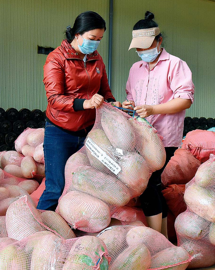 Hàng chục tấn rau củ được người dân Gia Lai huy động để chở vào TP. Hồ Chí Minh hỗ trợ chống dịch. Ảnh: Đức Thụy Hàng chục tấn rau củ được người dân Gia Lai huy động để chở vào TP. Hồ Chí Minh hỗ trợ chống dịch. Ảnh: Đức Thụy