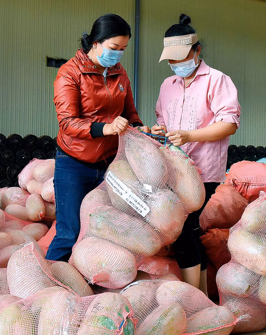 Hàng chục tấn rau củ được người dân Gia Lai huy động để chở vào TP. Hồ Chí Minh hỗ trợ chống dịch. Ảnh: Đức Thụy