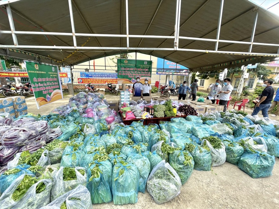 Những bó rau, củ quả xanh mướt sắp được chuyển đến cho người dân vùng dịch. Ảnh: B.T