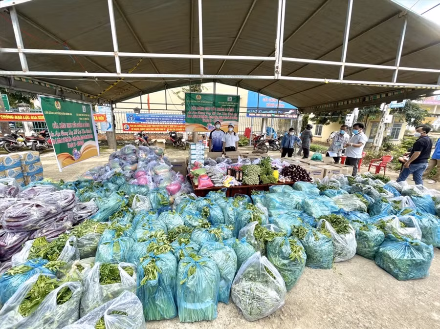 Những bó rau, củ quả xanh mướt sắp được chuyển đến cho người dân vùng dịch. Ảnh: B.T