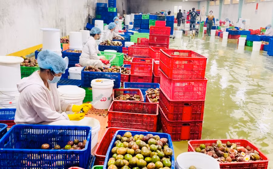 Mặc dù bị ảnh hưởng dịch bệnh nhưng các doanh nghiệp vẫn cố gắng duy trì sản xuất, ổn định đời sống cho người lao động. Ảnh: Vũ Thảo