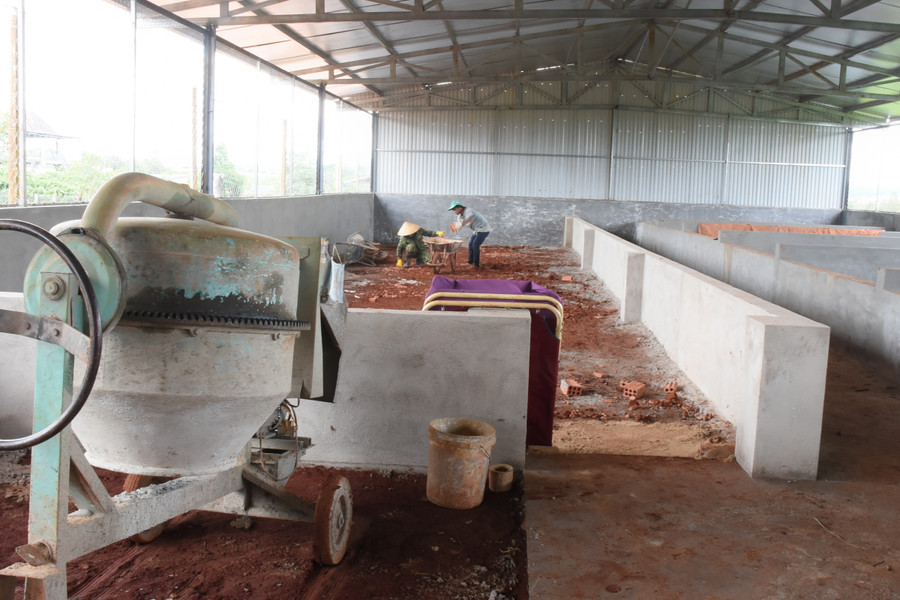 Khu chăn nuôi gia súc rộng lớn này đều do các em đang được nuôi dạy hoặc đã trưởng thành từ Mái ấm chung tay xây dựng. Ảnh: Phương Duyên