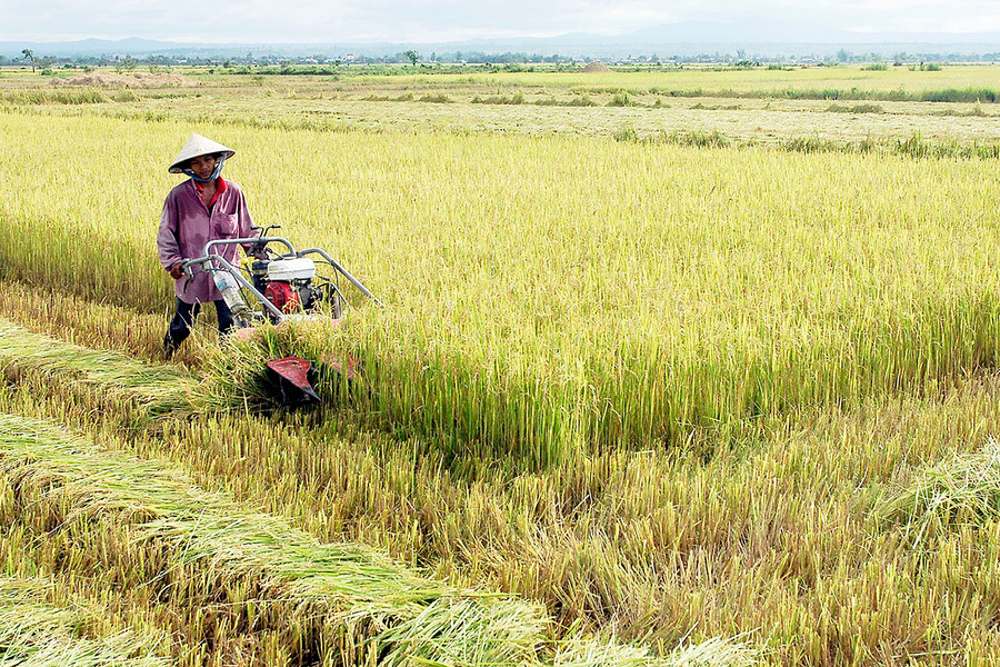 Việc xây dựng vùng chuyên canh lúa sẽ góp phần nâng cao giá trị lúa gạo và nâng cao thu nhập của người dân. Ảnh: Đức Thụy Đến cuối năm 2020, tỷ trọng ngành nông nghiệp chiếm 37,18% cơ cấu kinh tế của tỉnh. Ảnh: Đức Thụy