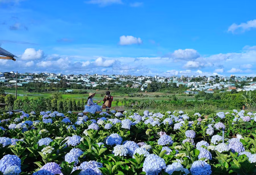 Gặp nhiều khó khăn do dịch bệnh nhưng anh Phạm Ân vẫn quyết tâm bám trụ với nghề nhiếp ảnh dịch vụ. Ảnh: Hoàng Ngọc