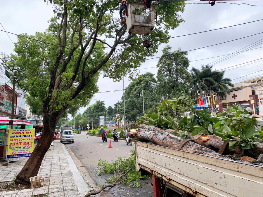 Cây xanh ngã đổ vào đường dây điện tại đường Tôn Thất Tùng, đoạn trước Bệnh viện Đa khoa tỉnh (ảnh chụp ngày 23-7-2021). Ảnh: Hà Duy Cây xanh ngã đổ vào đường dây điện gây mất an toàn cho tính mạng và tài sản người dân tại đường Tôn Thất Tùng (đoạn trước Bệnh viên Đa khoa tỉnh) hôm 23-7-2021