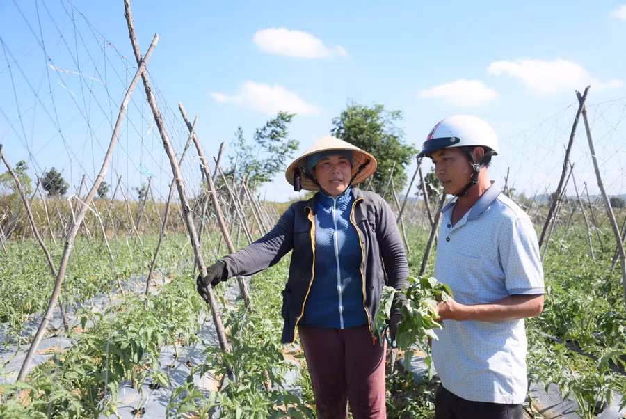 Chính quyền, hội, đoàn thể các xã đang nỗ lực hướng dẫn các hộ dân triển khai các mô hình sản xuất hiệu quả nhằm hoàn thành chỉ tiêu thu nhập trong xây dựng nông thôn mới