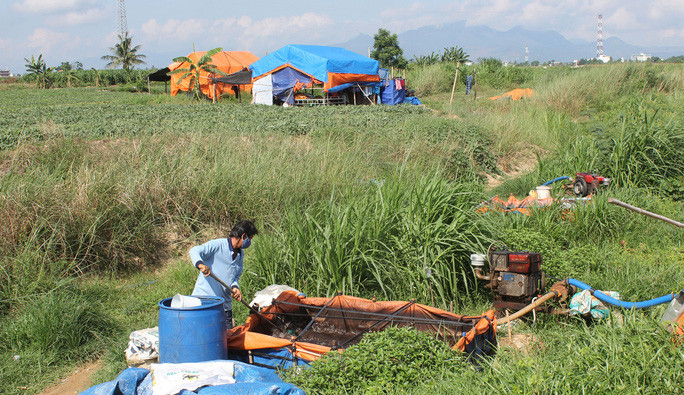 Anh Dương Thạnh hòa phân tưới dưa