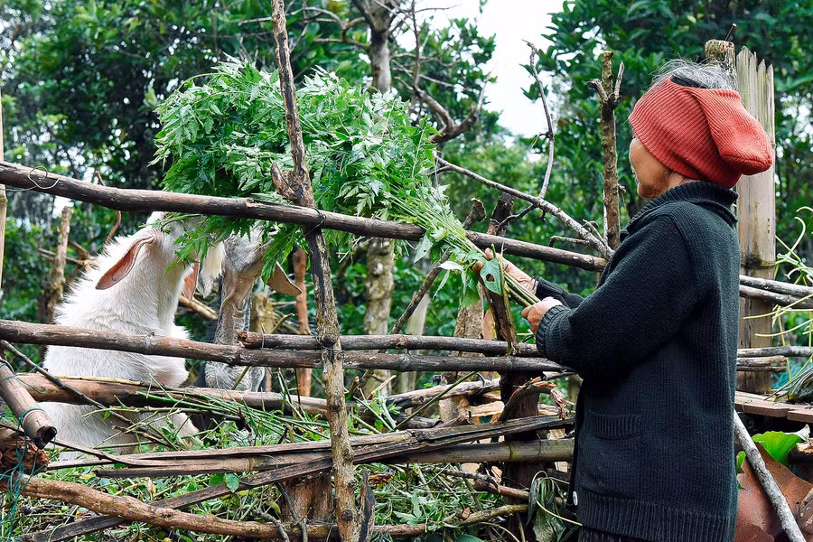 2. Trao “cần câu” và định hướng sản xuất tiếp tục là giải pháp được địa phương triển khai để giúp người dân nâng cao thu nhập.