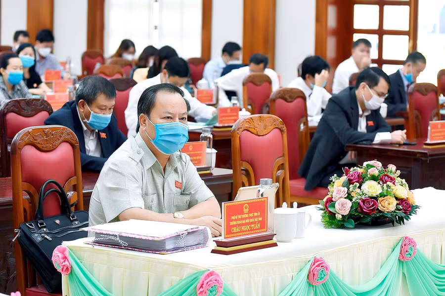 Phó Bí thư Thường trực Tỉnh ủy, Trưởng đoàn đại biểu Quốc hội tỉnh tham dự kỳ họp. Ảnh: Đức Thụy