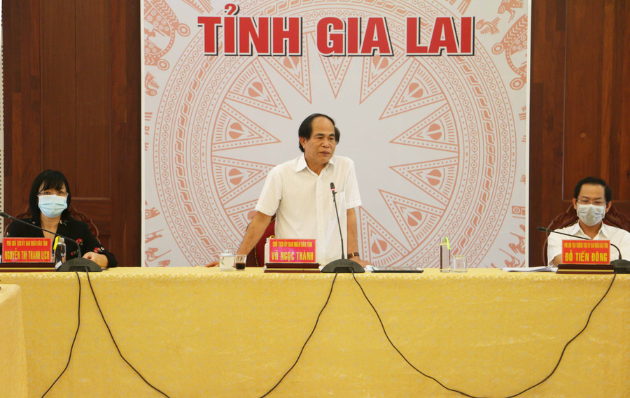 Chủ tịch UBND tỉnh Võ Ngọc Thành phát biểu tại hội nghị