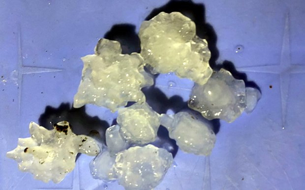 Những hạt đá có kích thước khoảng 1-2cm. (Nguồn: baotintuc) Những hạt đá có kích thước khoảng 1-2cm. (Nguồn: baotintuc)