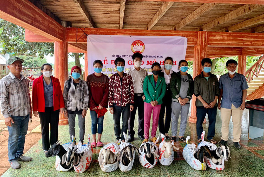  Bàn giao dê giống cho các hộ dân. Ảnh: Lê Đại