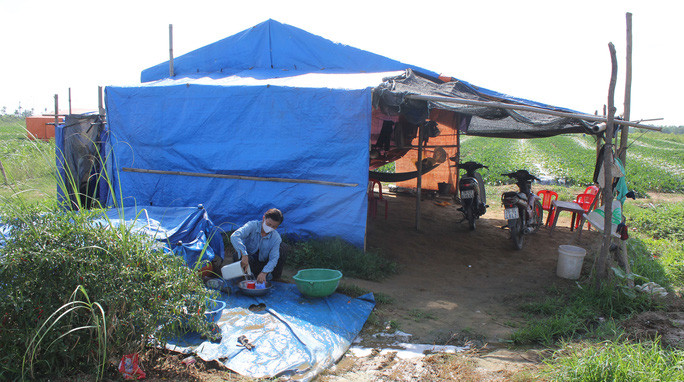 Chị Võ Thị Minh - vợ anh Dương Thạnh - bên lều bạt ở bãi dưa
