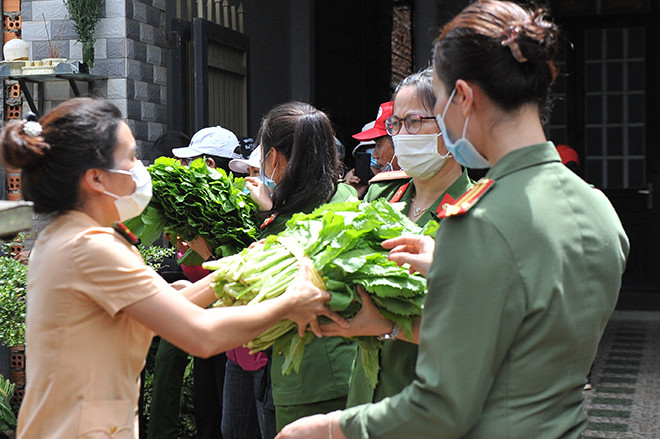 Những bó rau đầy ắp nghĩa tình. Những bó rau đầy ắp nghĩa tình.