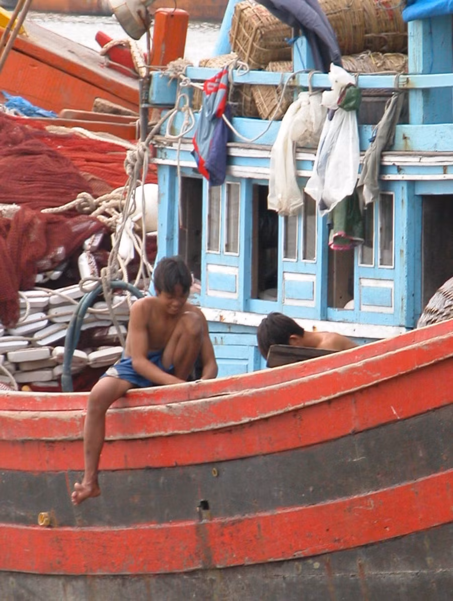 Sứ men ngọc (Celadone) từ tàu đắm Bình Thuận được trưng bày ở Singapore. Ảnh: Lam Phong