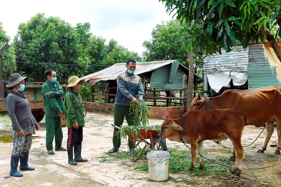 Người dân xã Đak Yă trao đổi kinh nghiệm chăn nuôi.