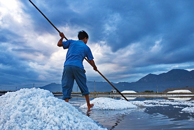 Cơn dông đến bất ngờ, ông Thỏa vội vã cào muối.
